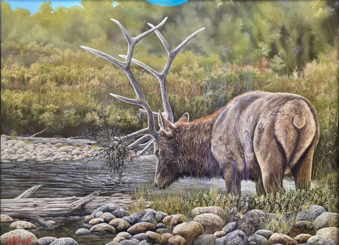 Battle Proven, Elk 18x24 $2500 at Hunter Wolff Gallery